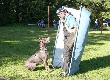 Summer training camp in Estonia 2007